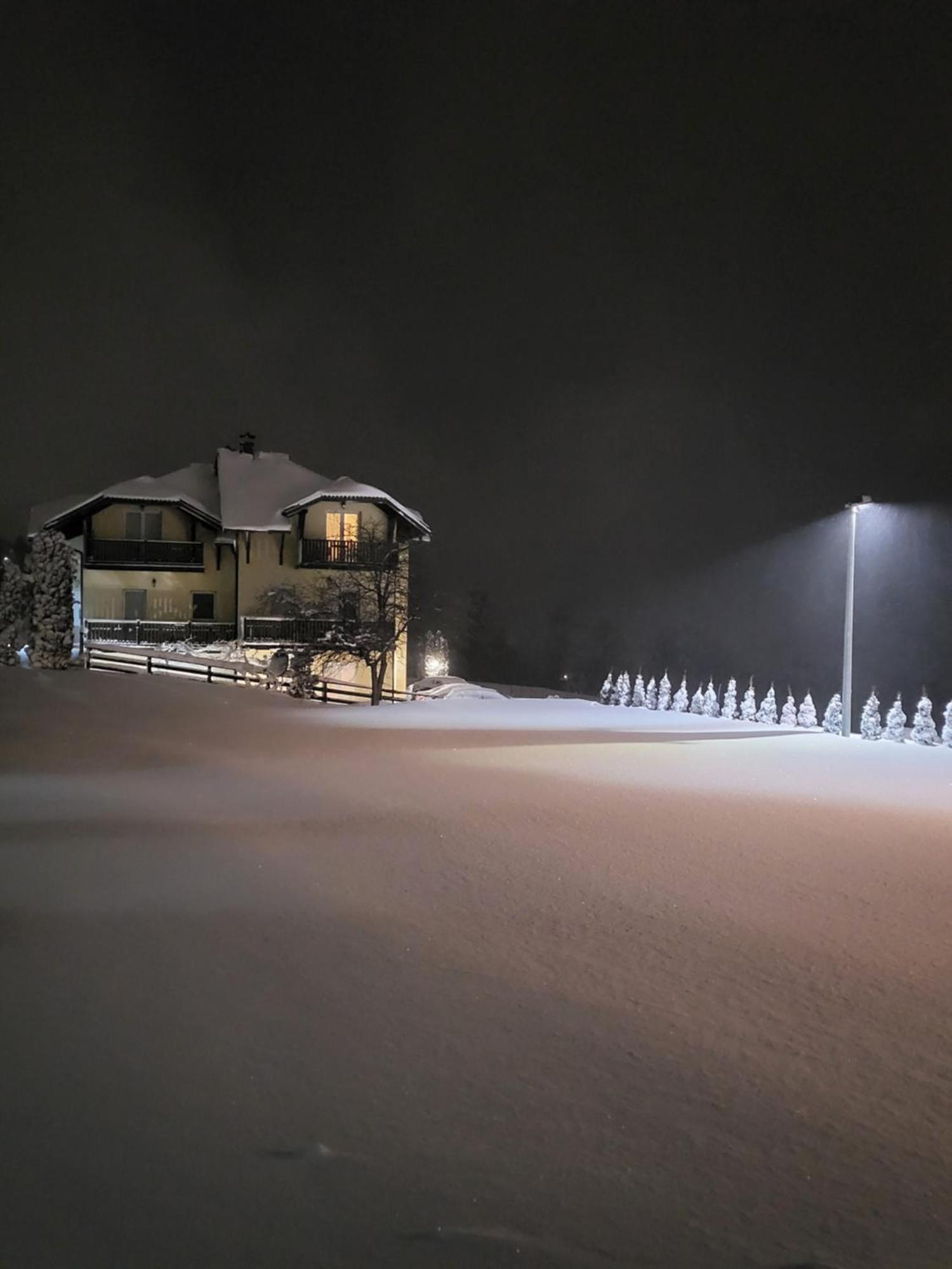 Apartments Vila Velickovic Zlatibor Eksteriør billede