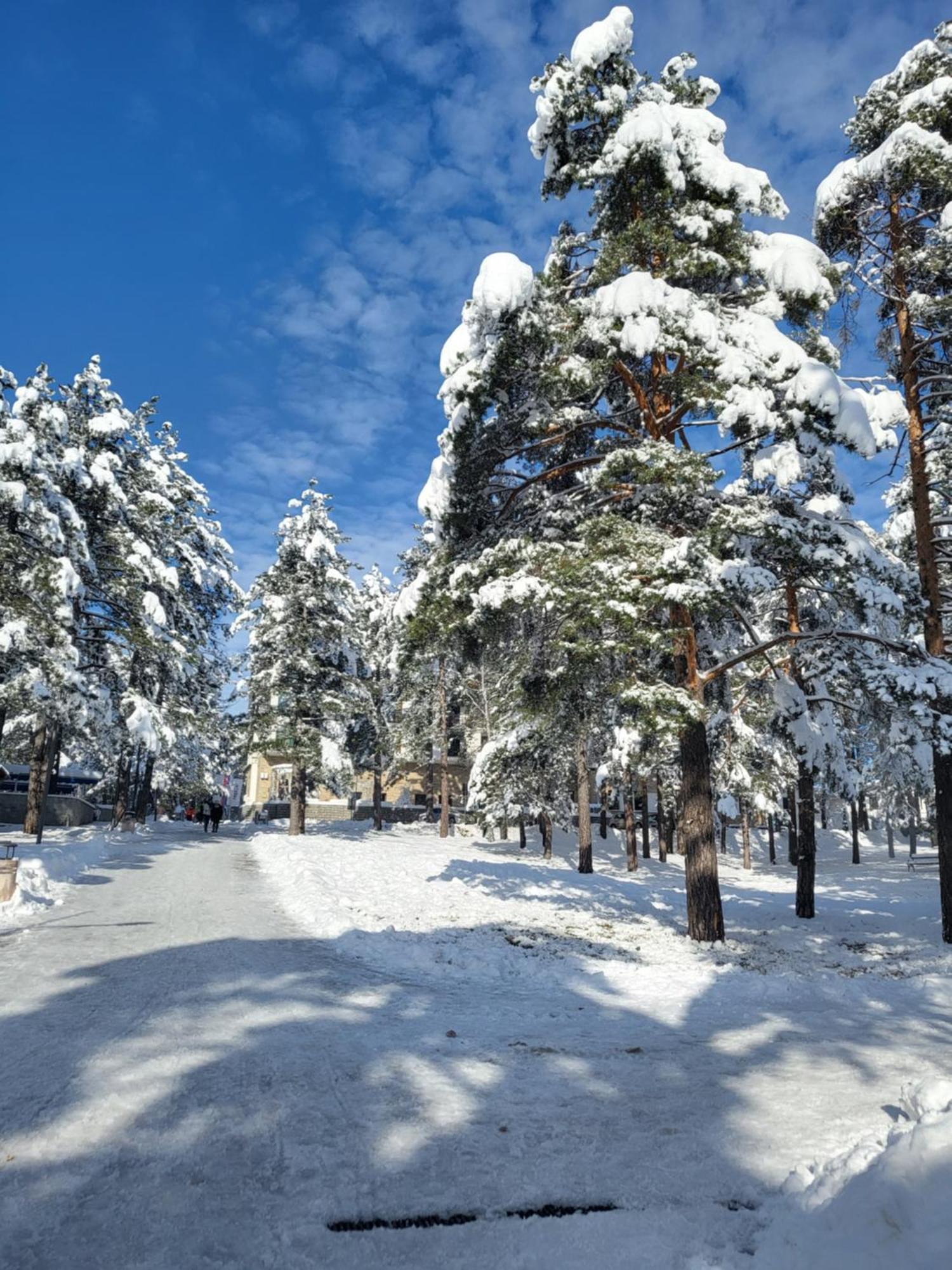 Apartments Vila Velickovic Zlatibor Eksteriør billede