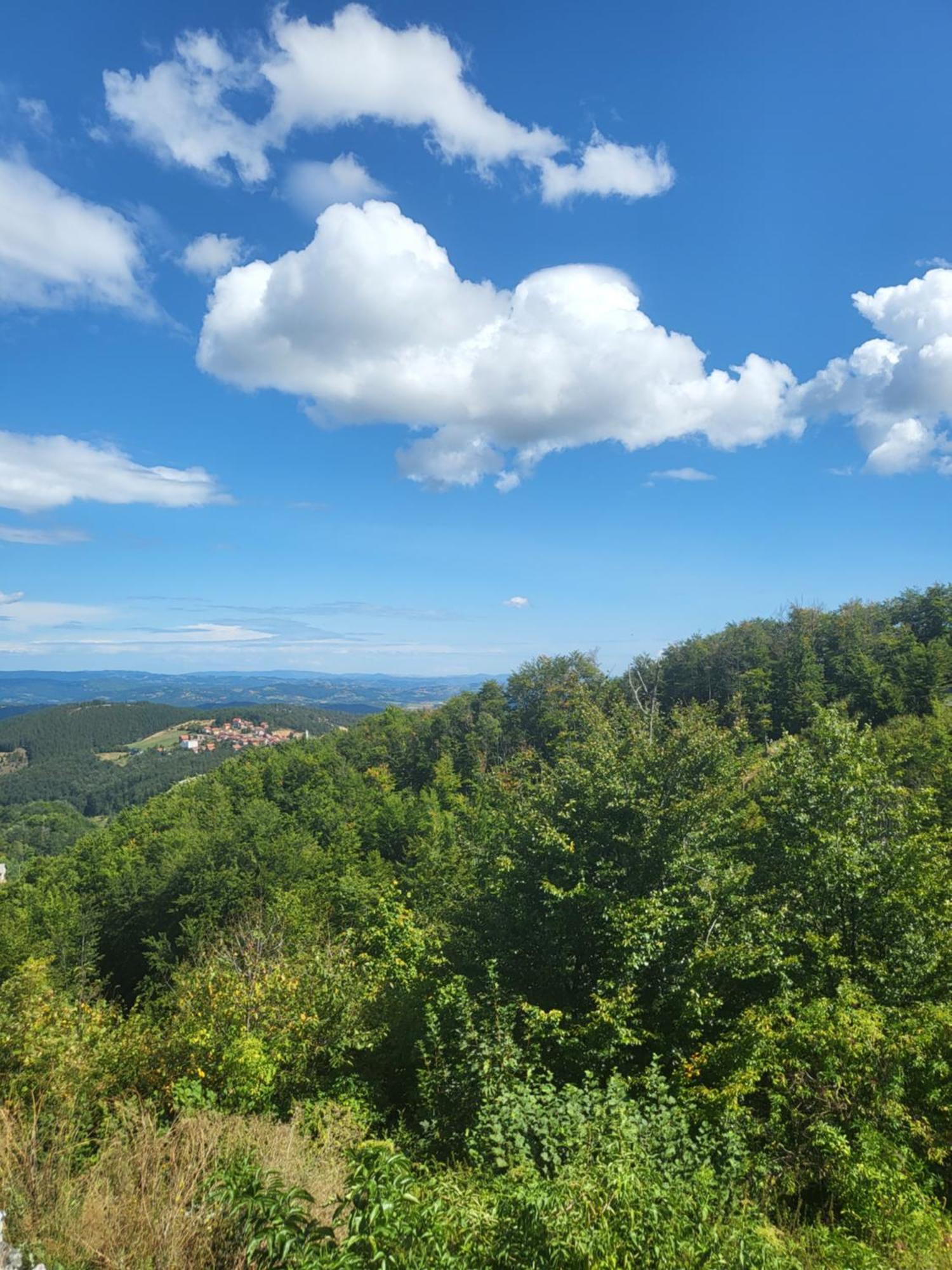 Apartments Vila Velickovic Zlatibor Eksteriør billede