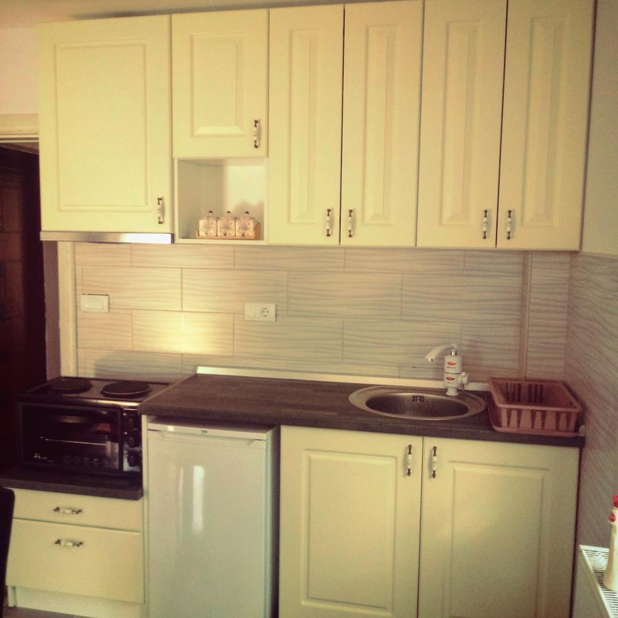 Apartments Vila Velickovic Zlatibor Eksteriør billede