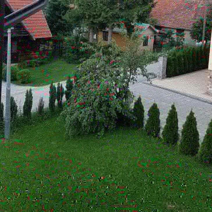 Apartments Vila Velickovic Zlatibor Eksteriør billede
