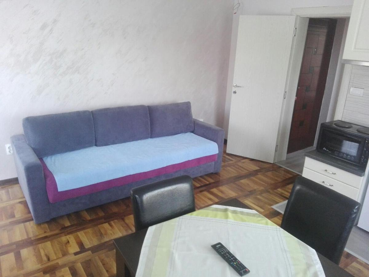 Apartments Vila Velickovic Zlatibor Eksteriør billede